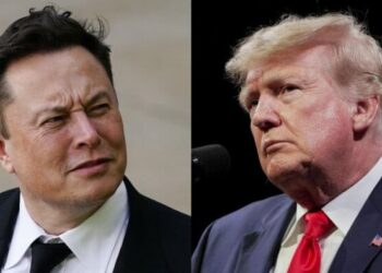 Elon Musk Responds After Trump Calls Him ‘Another Bullsh*t Artist’