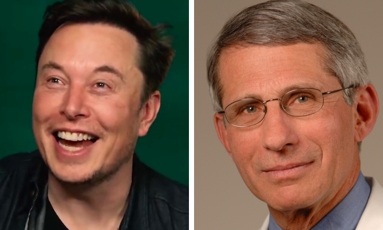 BREAKING: Elon Musk calls out Fauci — ‘He lied to Congress and funded gain-of-function research that killed millions of people’